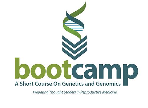 Boot Camp logo