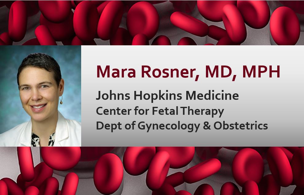 Mara Rosner, MD, MPH, Johns Hopkins Medicine, Center for Fetal Therapy, Department of Gynecology & Obstetrics
