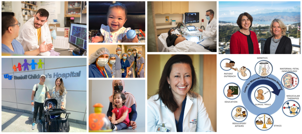 Collage of photographs showing the Center for Maternal-Fetal Precision Medicine team in action
